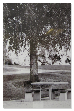 Eastside Prep History - Picnic Table